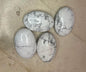 Canadian Howlite Palm Stone: Polished Crystal for Anxiety & Meditation Home Decor Worry Pocket Stress Anxiety Palm Stone