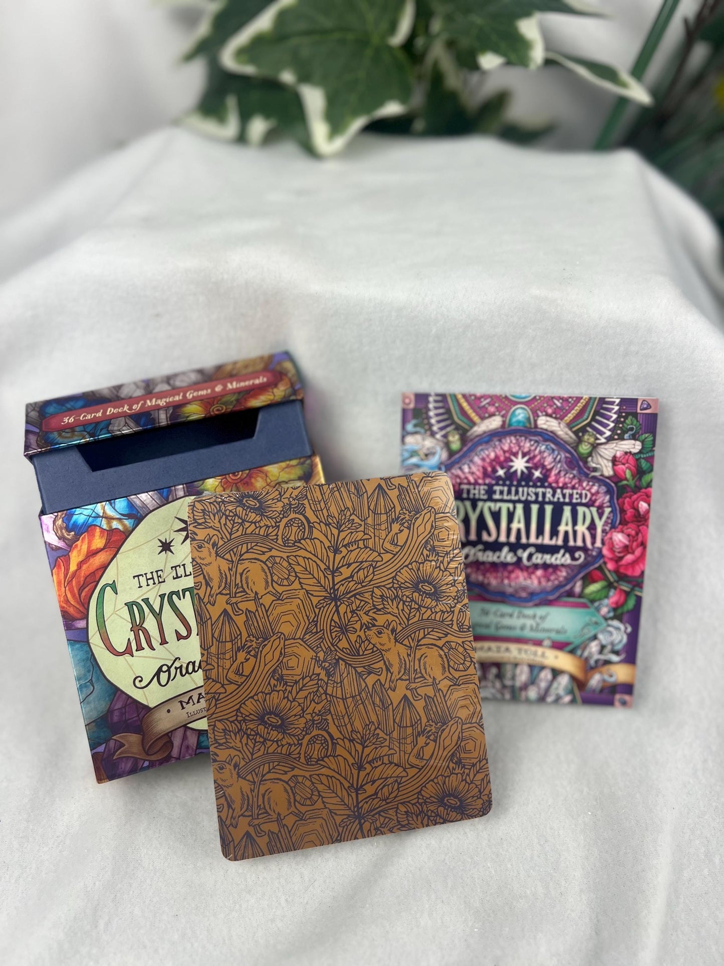 The Illustrated Crystallary Oracle Cards Home Decor Worry Prayer Anxiety Distraction 36-Card Deck of Magical Gems and Minerals Wild Wisdom