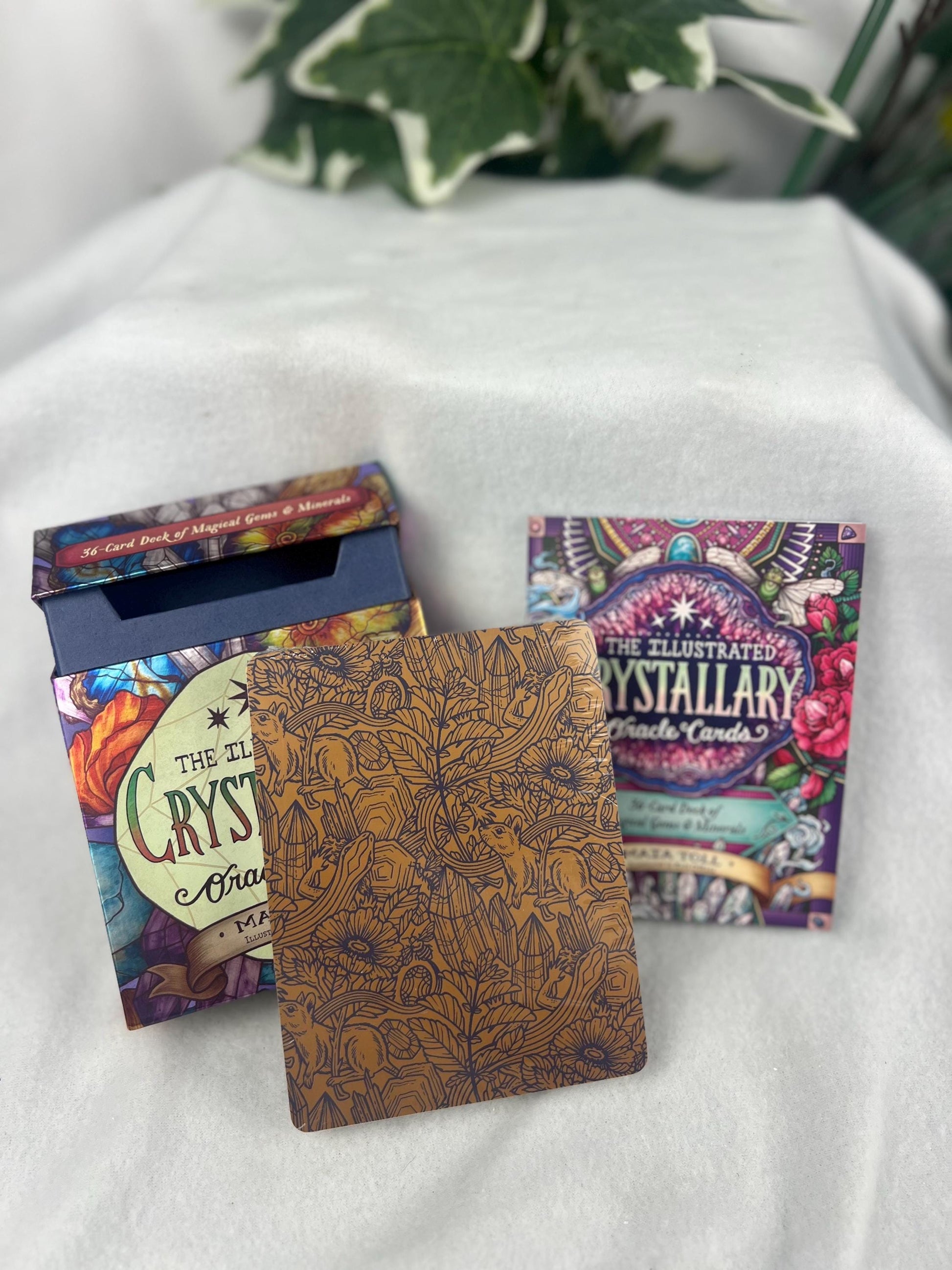 The Illustrated Crystallary Oracle Cards Home Decor Worry Prayer Anxiety Distraction 36-Card Deck of Magical Gems and Minerals Wild Wisdom