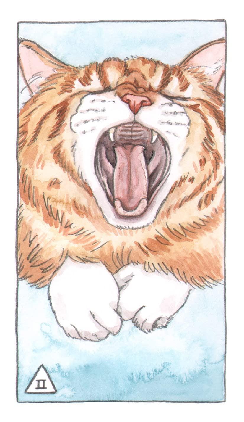 Cat Tarot 78 Cards & Guidebook Inclusive Deck Cards Fully Licensed Original Inclusive Tarot Deck and Guidebook Home Decor Christmas Gift