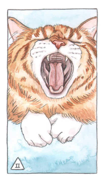 Cat Tarot Deck 78 Cards Fully Licensed and Original Inclusive Tarot Deck Guidebook Home Decor Gift