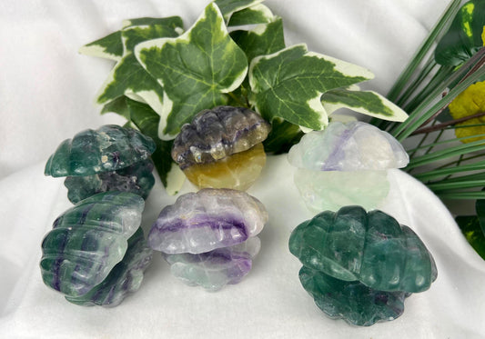 Fluorite Crystal Clam Seashell Carving Polished Natural Home Decor Christmas Birthday Statue Crystal Gemstone Feng Shui Christmas Jewelry