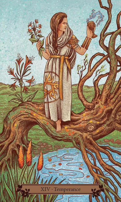 HedgeWitch Tarot Deck Rider Waite Tradition 78 cards Fully Licensed and Original Inclusive Tarot Deck Guidebook Home Decor Gift