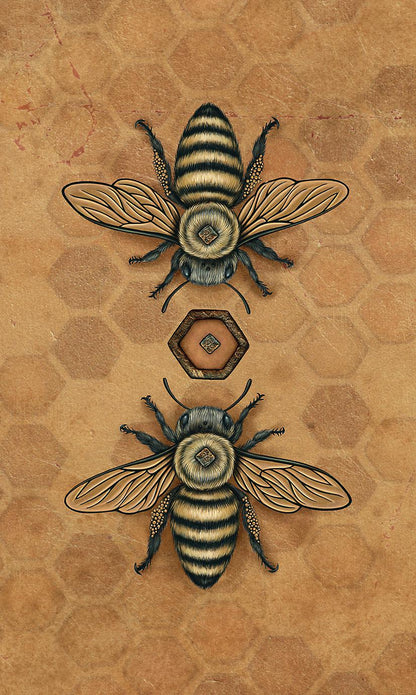 The Bee Tarot Card Deck 78 Cards Fully Licensed and Original Inclusive Tarot Deck Guidebook Home Decor Gift