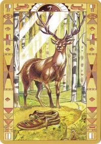 Native American Oracle Cards Illustrated Fully Licensed and Original Inclusive Tarot Deck Guidebook Home Decor Gift