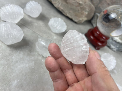 Queensland Australian Clear Quartz Scallop Carved Shell Stone: Polished Crystal Decor Home Decor Worry Pocket Stress Anxiety Palm Stone