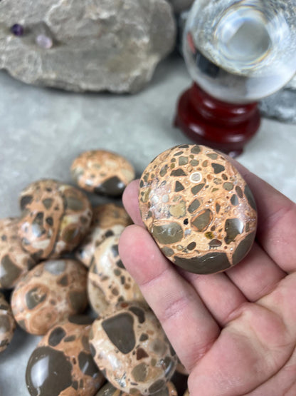 Polished Leopard Jasperite Palm Stone Healing Anxiety Worry Meditation Decor Home Decor Worry Pocket Stress Anxiety Palm Stone