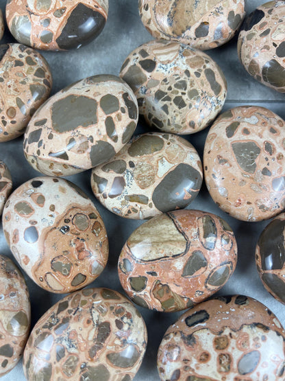 Polished Leopard Jasperite Palm Stone Healing Anxiety Worry Meditation Decor Home Decor Worry Pocket Stress Anxiety Palm Stone