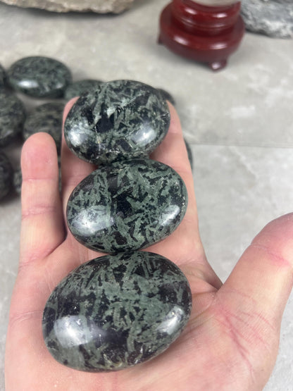 Madagascan Chlorite Kambaba Jasper Crocodile Palm Stone: Polished Worry Stone, Meditation Decor