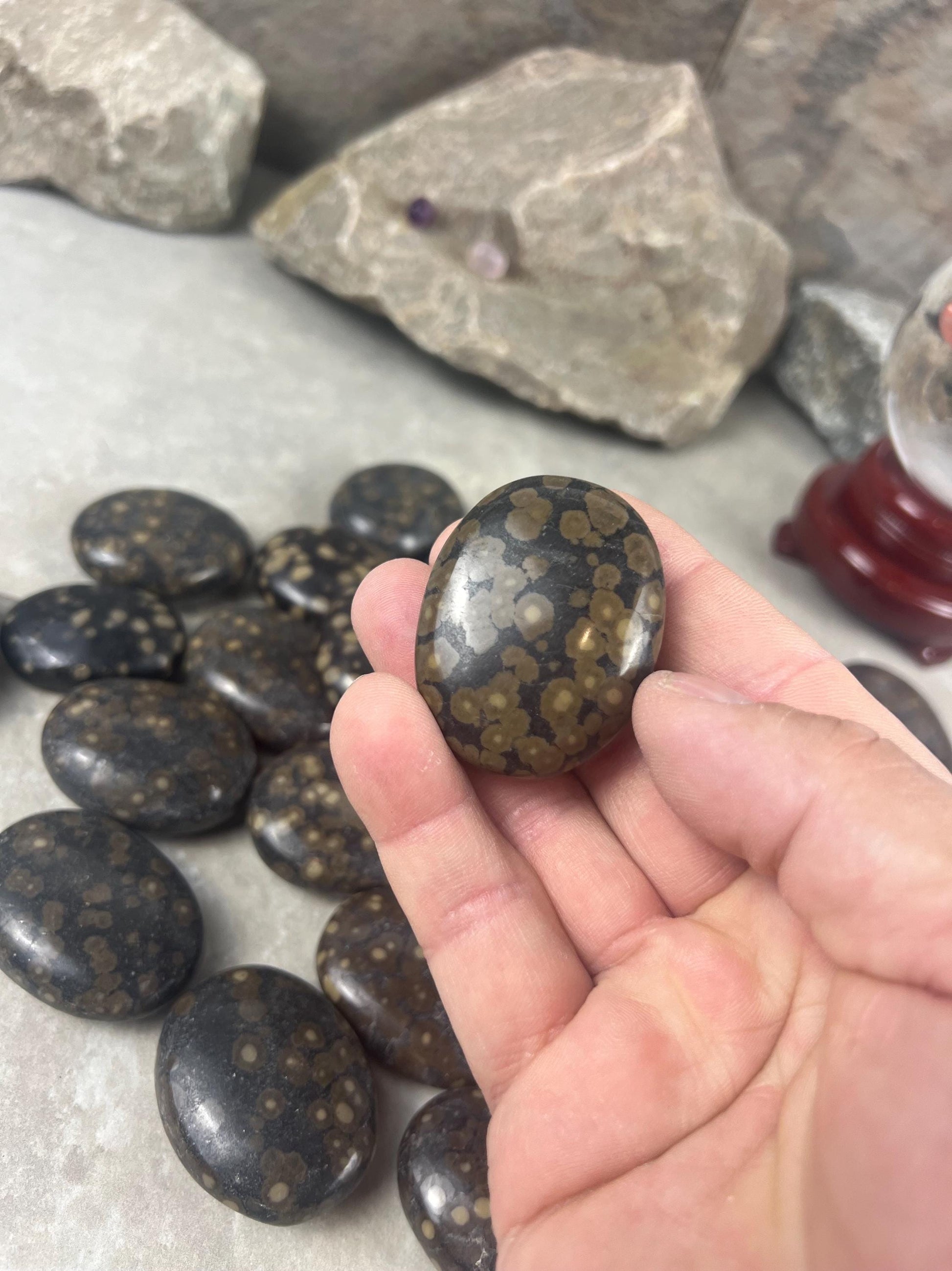 Californian Orbicular Jasper Palm Stone Polished Crystal Worry Stone Home Decor Worry Pocket Stress Anxiety Palm Stone