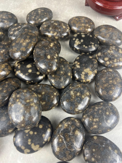 Californian Orbicular Jasper Palm Stone Polished Crystal Worry Stone Home Decor Worry Pocket Stress Anxiety Palm Stone