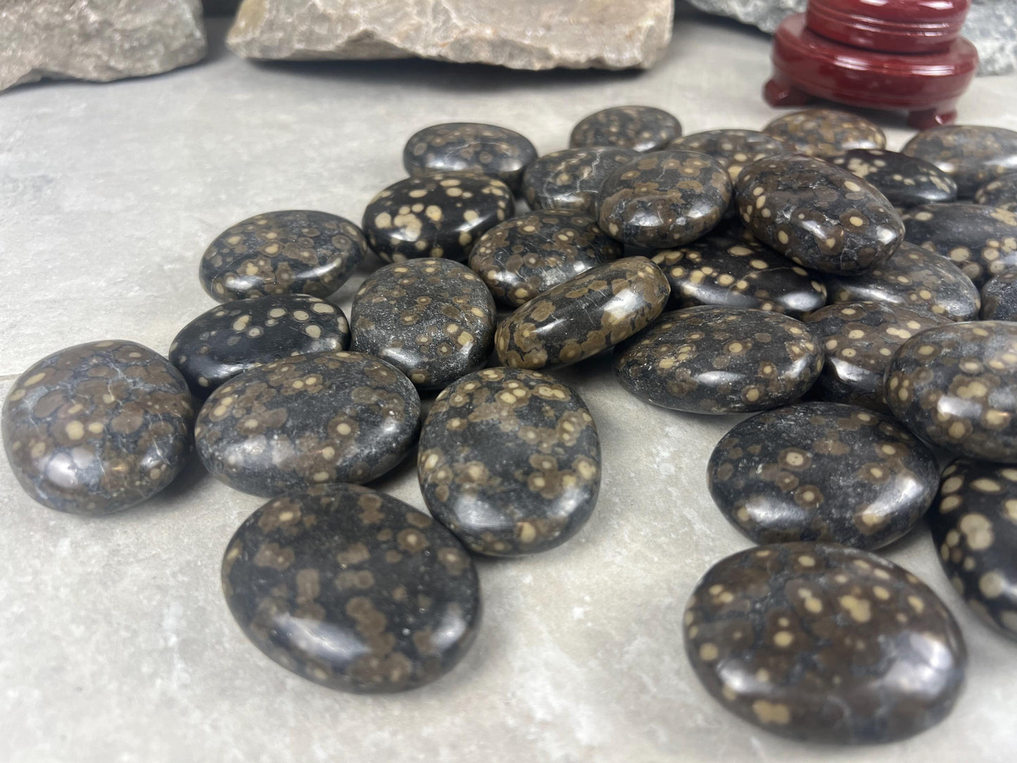 Californian Orbicular Jasper Palm Stone Polished Crystal Worry Stone Home Decor Worry Pocket Stress Anxiety Palm Stone