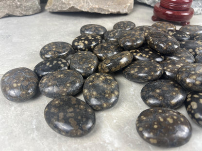 Californian Orbicular Jasper Palm Stone Polished Crystal Worry Stone Home Decor Worry Pocket Stress Anxiety Palm Stone