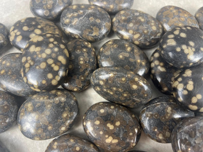 Californian Orbicular Jasper Palm Stone Polished Crystal Worry Stone Home Decor Worry Pocket Stress Anxiety Palm Stone