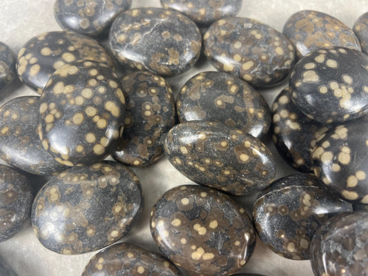 Californian Orbicular Jasper Palm Stone Polished Crystal Worry Stone Home Decor Worry Pocket Stress Anxiety Palm Stone