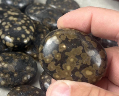 Californian Orbicular Jasper Palm Stone Polished Crystal Worry Stone Home Decor Worry Pocket Stress Anxiety Palm Stone