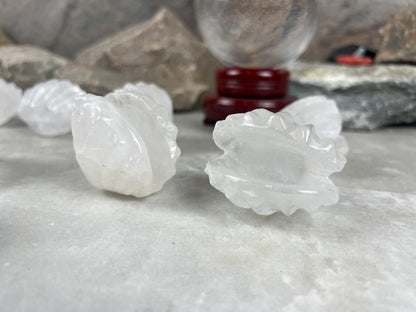 Queensland Australian Clear Quartz Scallop Carved Shell Stone: Polished Crystal Decor Home Decor Worry Pocket Stress Anxiety Palm Stone