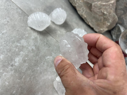 Queensland Australian Clear Quartz Scallop Carved Shell Stone: Polished Crystal Decor Home Decor Worry Pocket Stress Anxiety Palm Stone