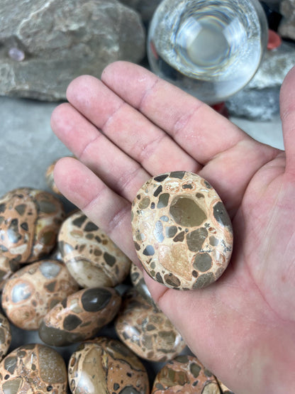 Polished Leopard Jasperite Palm Stone Healing Anxiety Worry Meditation Decor Home Decor Worry Pocket Stress Anxiety Palm Stone