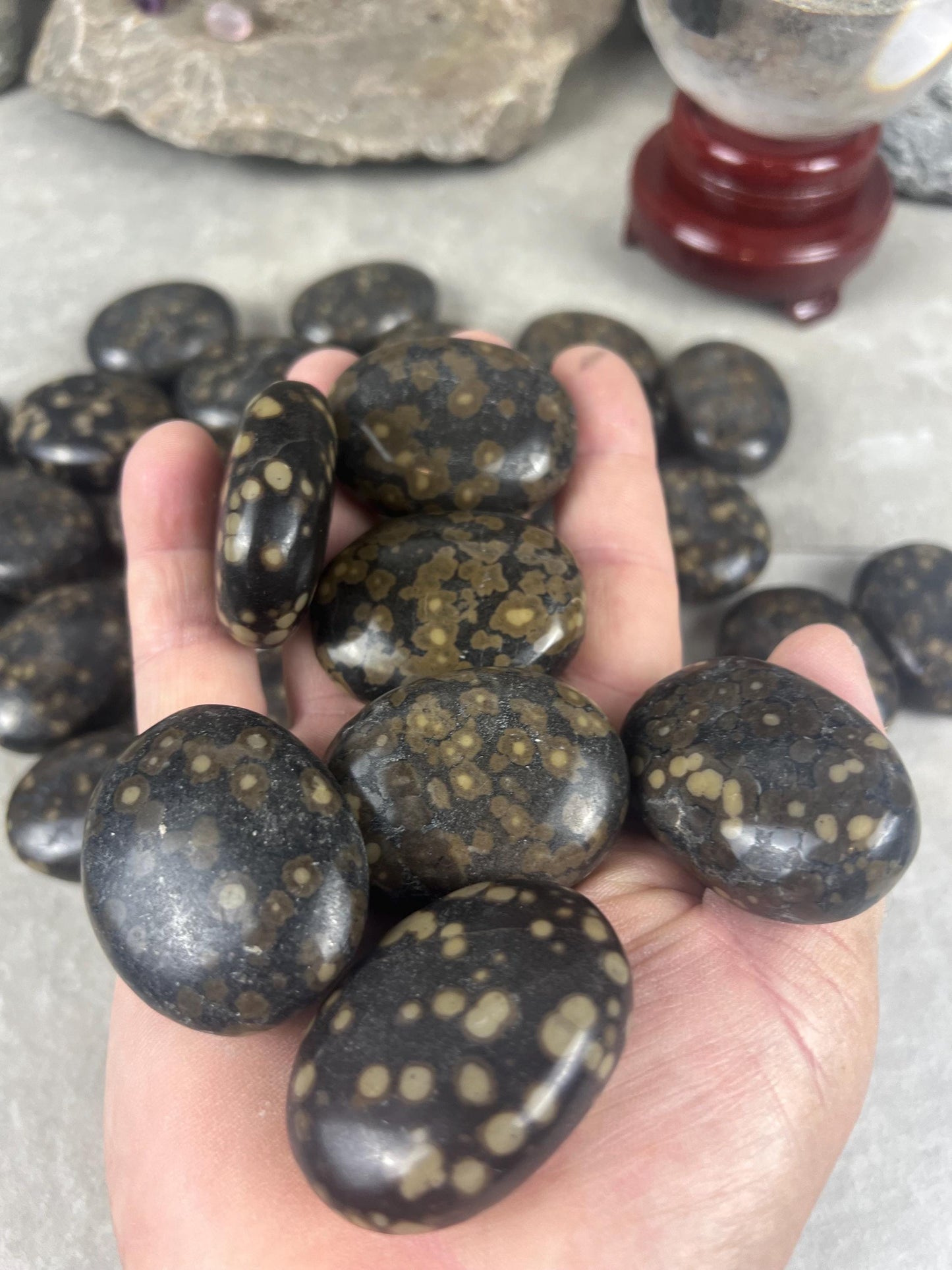 Californian Orbicular Jasper Palm Stone Polished Crystal Worry Stone Home Decor Worry Pocket Stress Anxiety Palm Stone