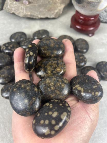 Californian Orbicular Jasper Palm Stone Polished Crystal Worry Stone Home Decor Worry Pocket Stress Anxiety Palm Stone