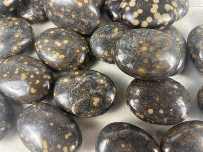 Californian Orbicular Jasper Palm Stone Polished Crystal Worry Stone Home Decor Worry Pocket Stress Anxiety Palm Stone