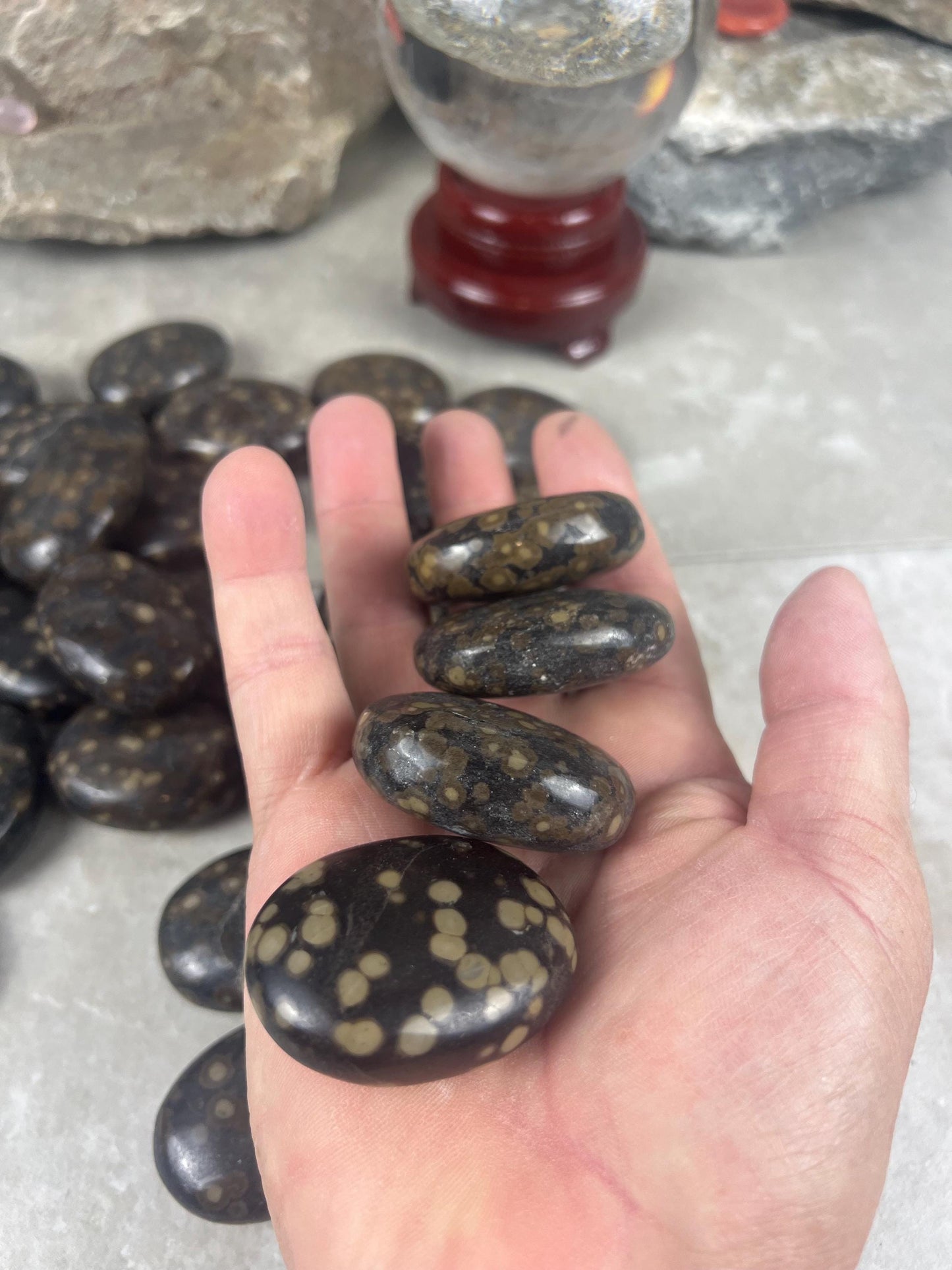 Californian Orbicular Jasper Palm Stone Polished Crystal Worry Stone Home Decor Worry Pocket Stress Anxiety Palm Stone