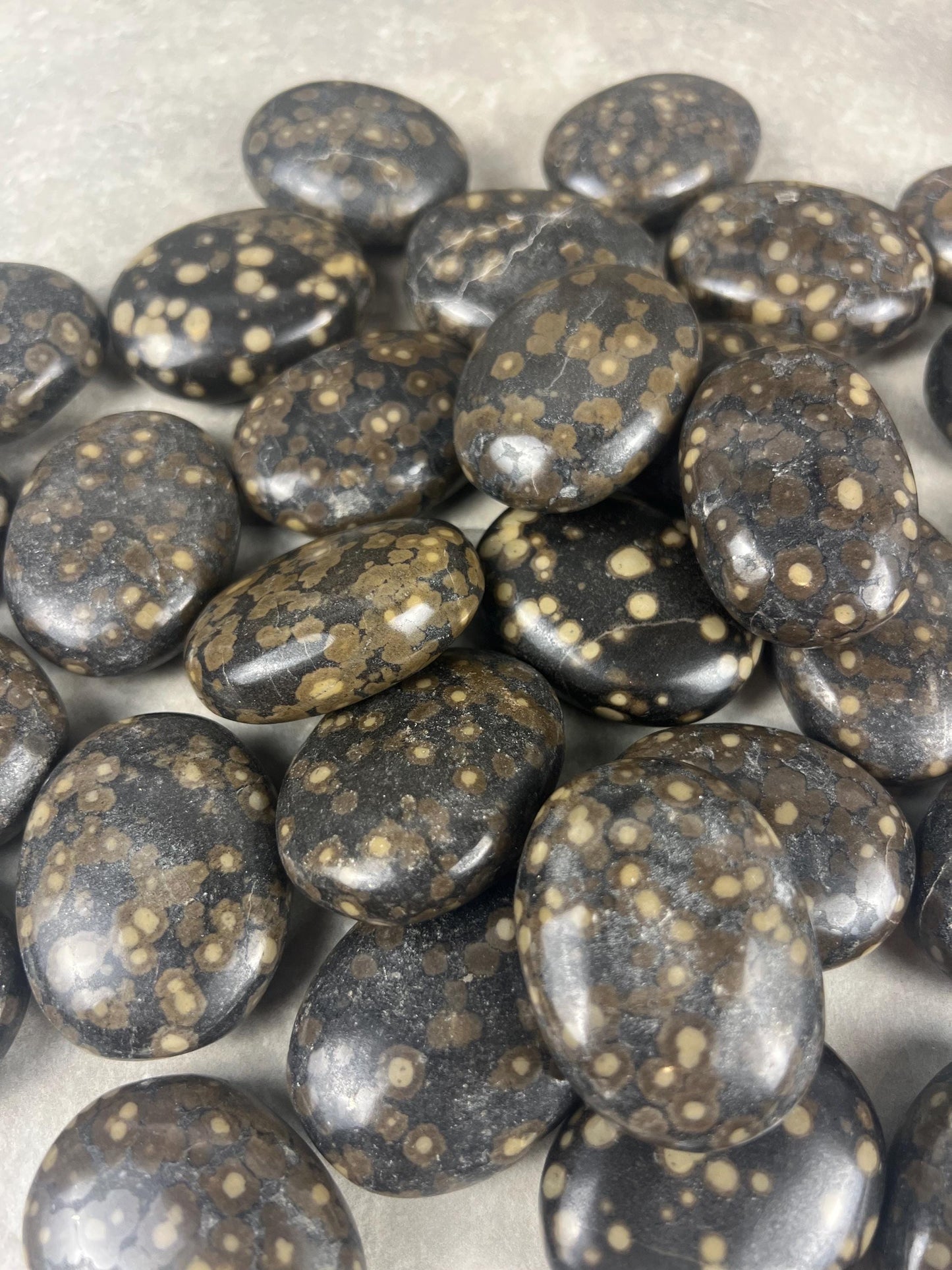 Californian Orbicular Jasper Palm Stone Polished Crystal Worry Stone Home Decor Worry Pocket Stress Anxiety Palm Stone