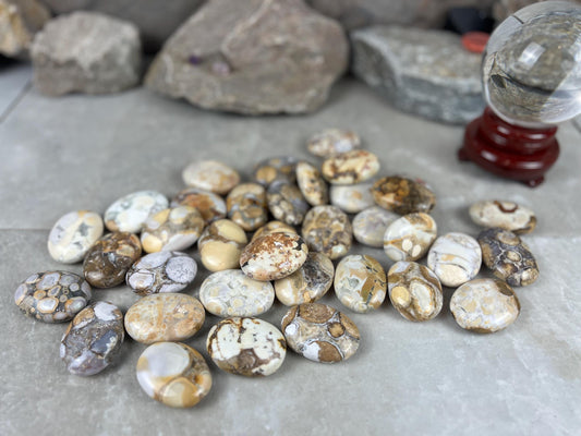 Indian King Cobra Jasper Palm Stone Uttar Pradesh Orbicular Jasper, Natural Crystal Home Decor Worry Pocket Stress Anxiety Palm Stone
