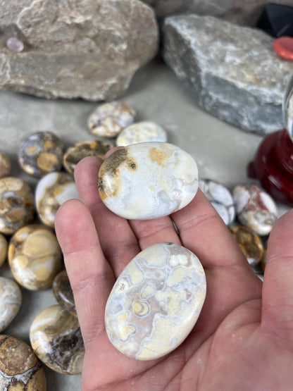 Indian King Cobra Jasper Palm Stone Uttar Pradesh Orbicular Jasper, Natural Crystal Home Decor Worry Pocket Stress Anxiety Palm Stone