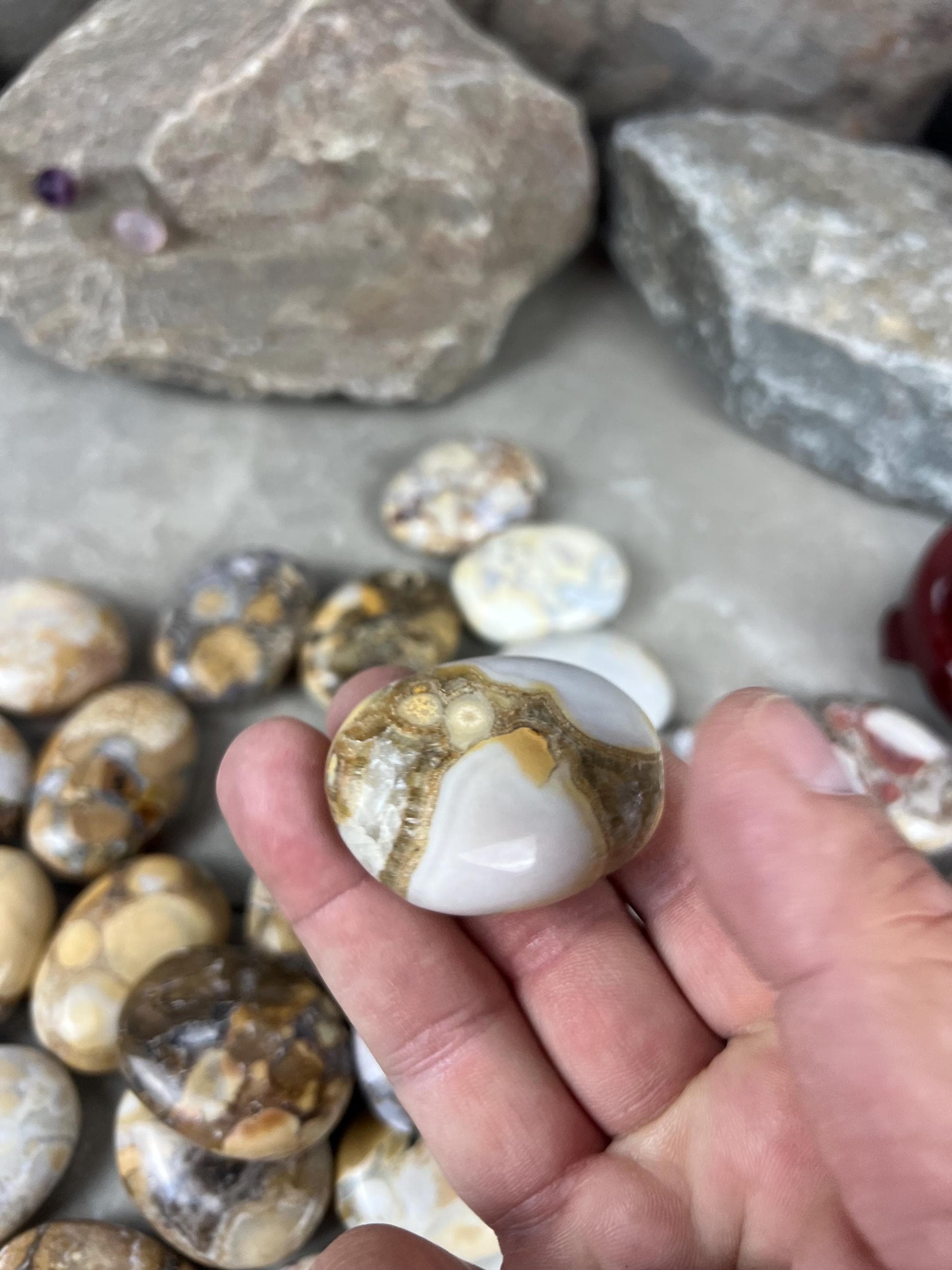 Indian King Cobra Jasper Palm Stone Uttar Pradesh Orbicular Jasper, Natural Crystal Home Decor Worry Pocket Stress Anxiety Palm Stone