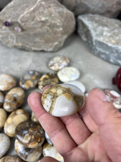 Indian King Cobra Jasper Palm Stone Uttar Pradesh Orbicular Jasper, Natural Crystal Home Decor Worry Pocket Stress Anxiety Palm Stone