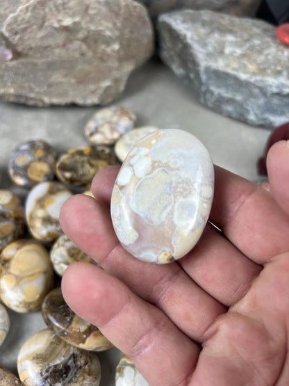 Indian King Cobra Jasper Palm Stone Uttar Pradesh Orbicular Jasper, Natural Crystal Home Decor Worry Pocket Stress Anxiety Palm Stone