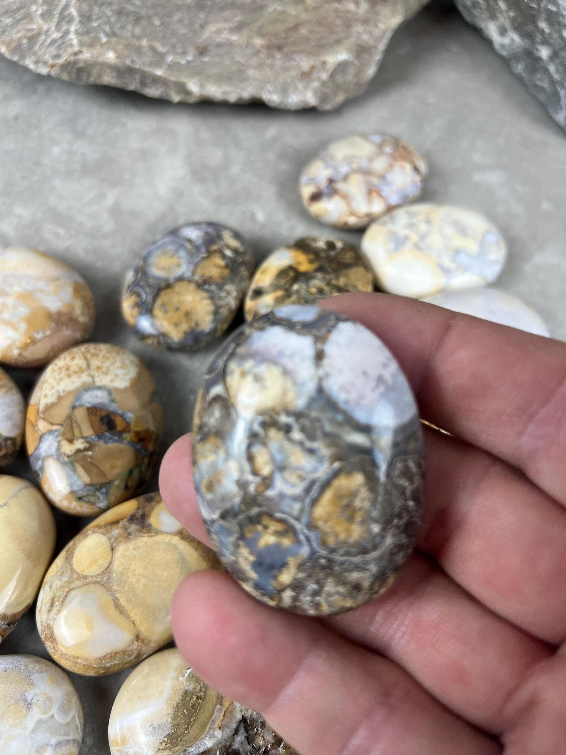 Indian King Cobra Jasper Palm Stone Uttar Pradesh Orbicular Jasper, Natural Crystal Home Decor Worry Pocket Stress Anxiety Palm Stone