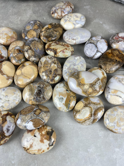 Indian King Cobra Jasper Palm Stone Uttar Pradesh Orbicular Jasper, Natural Crystal Home Decor Worry Pocket Stress Anxiety Palm Stone
