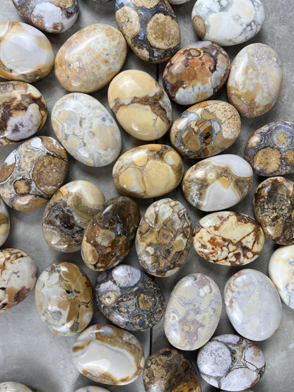 Indian King Cobra Jasper Palm Stone Uttar Pradesh Orbicular Jasper, Natural Crystal Home Decor Worry Pocket Stress Anxiety Palm Stone