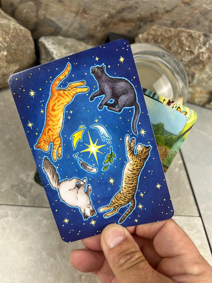 Everyday Witch Tarot Deck 78 Cards Fully Licensed and Original Inclusive Tarot Deck Guidebook Home Decor Gift
