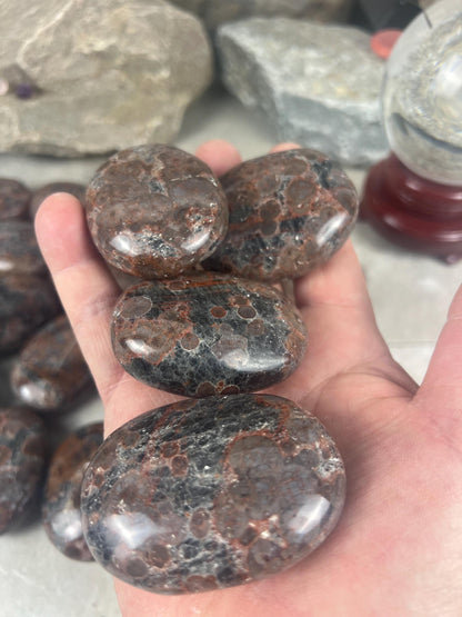 Manahoro Coast Madagascan Black Ocean Jasper Palm Stone Polished Crystal Worry Anxiety Distraction