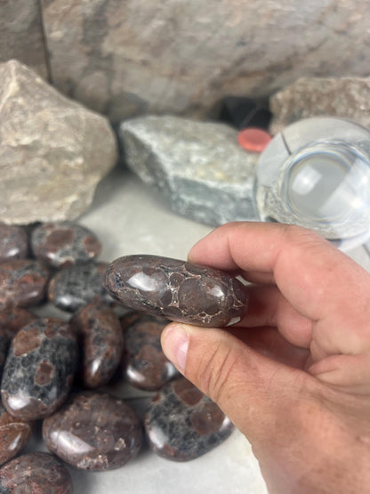 Manahoro Coast Madagascan Black Ocean Jasper Palm Stone Polished Crystal Worry Anxiety Distraction