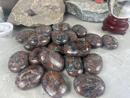 Manahoro Coast Madagascan Black Ocean Jasper Palm Stone Polished Crystal Worry Anxiety Distraction