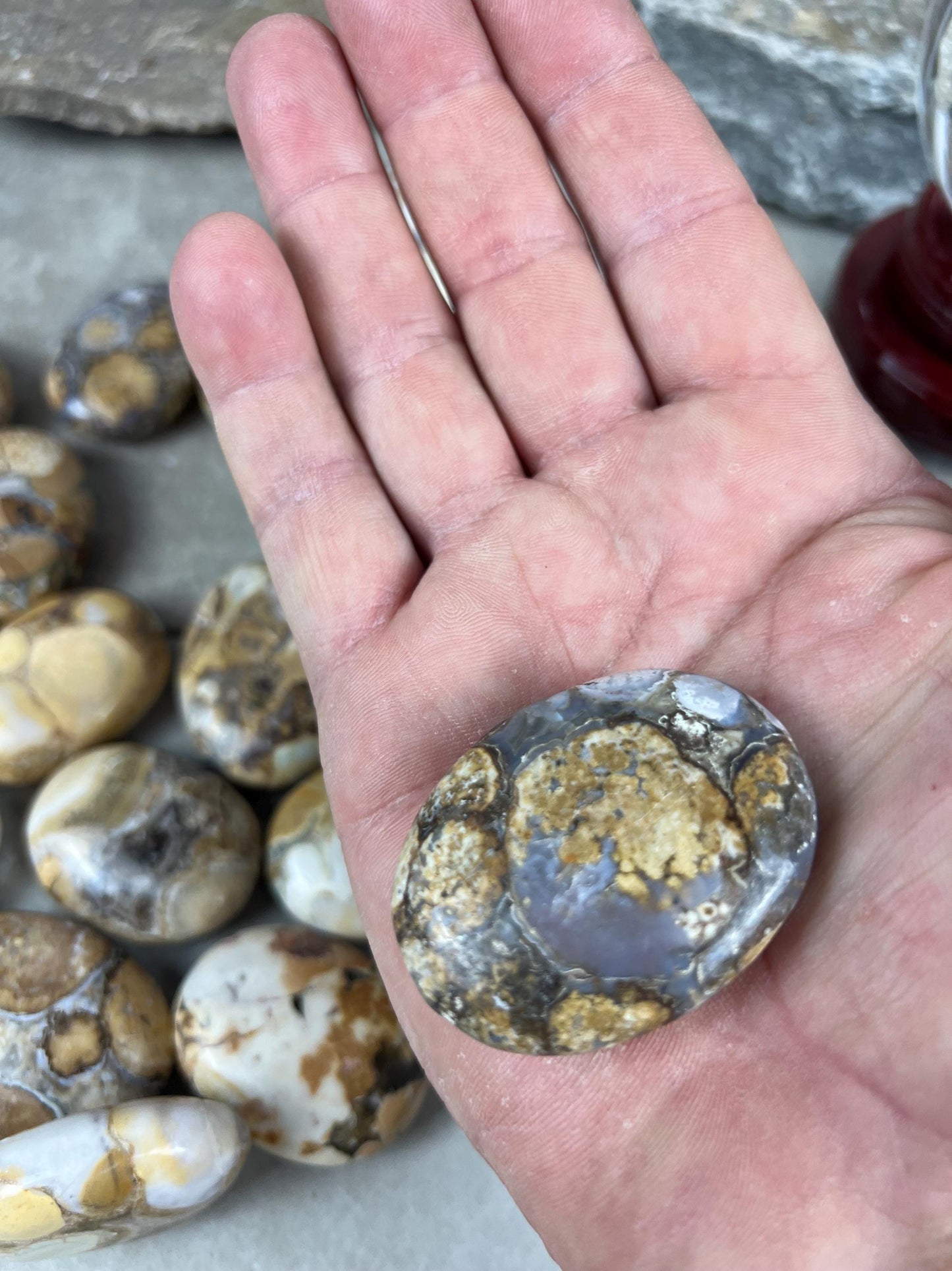 Indian King Cobra Jasper Palm Stone Uttar Pradesh Orbicular Jasper, Natural Crystal Home Decor Worry Pocket Stress Anxiety Palm Stone