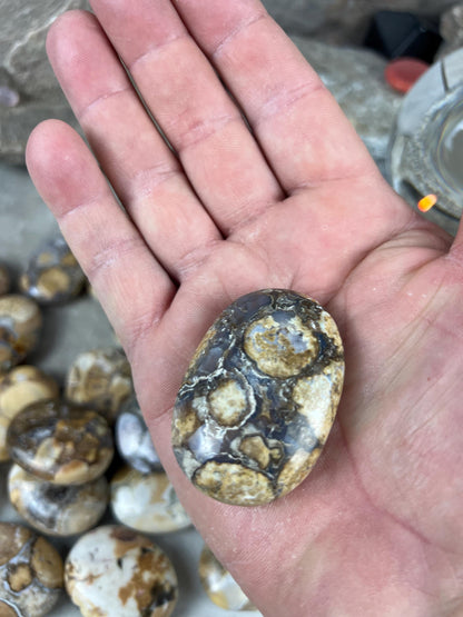 Indian King Cobra Jasper Palm Stone Uttar Pradesh Orbicular Jasper, Natural Crystal Home Decor Worry Pocket Stress Anxiety Palm Stone