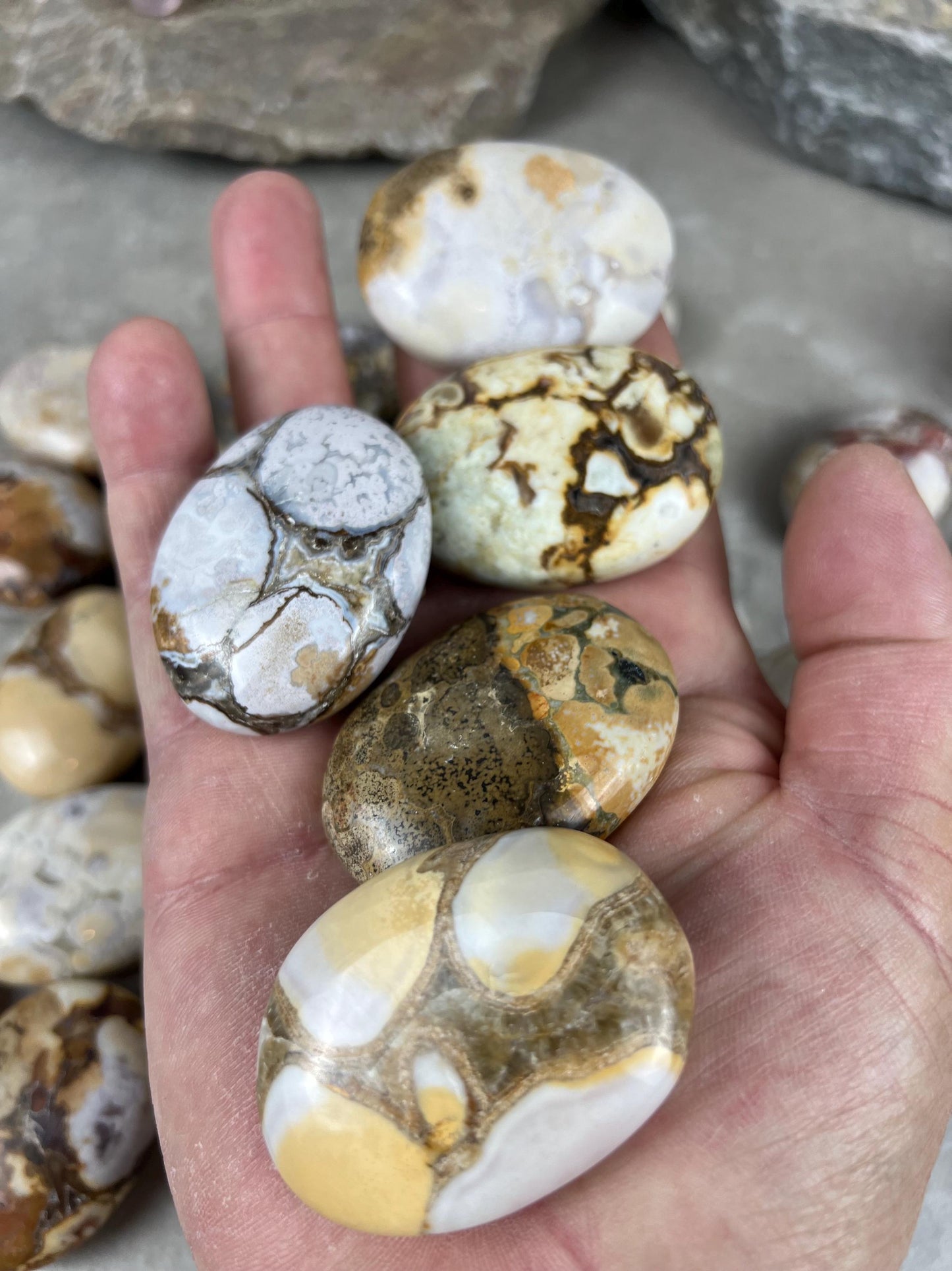 Indian King Cobra Jasper Palm Stone Uttar Pradesh Orbicular Jasper, Natural Crystal Home Decor Worry Pocket Stress Anxiety Palm Stone