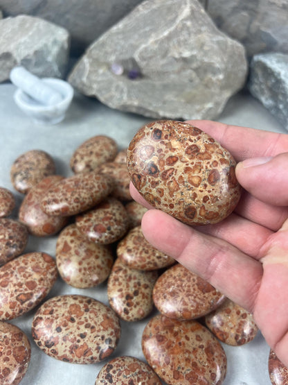 Brazilian Asteroid Jasper Polished Palm Stone Anxiety Stress Distraction Home Decor Home Decor Worry Pocket Stress Anxiety Palm Stone