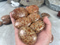 Brazilian Asteroid Jasper Polished Palm Stone Anxiety Stress Distraction Home Decor Home Decor Worry Pocket Stress Anxiety Palm Stone