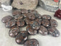 Manahoro Coast Madagascan Black Ocean Jasper Palm Stone Polished Crystal Worry Anxiety Distraction