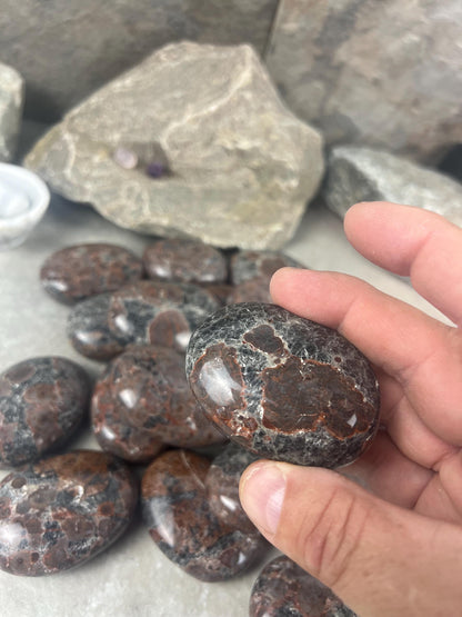 Manahoro Coast Madagascan Black Ocean Jasper Palm Stone Polished Crystal Worry Anxiety Distraction