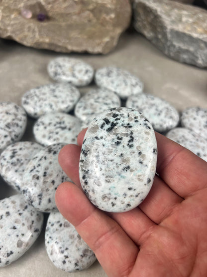 North Coast New Zealand Sesame Jasper Palm Natural Crystal Polished Worry Stone Home Decor Anxiety Pocket Distraction Meditation Christmas