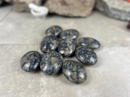 Texas Llanite Palm Stone Polished Crystal for Stress Relief Home Decor Home Decor Anxiety Pocket