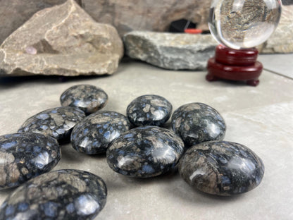 Texas Llanite Palm Stone Polished Crystal for Stress Relief Home Decor Home Decor Anxiety Pocket